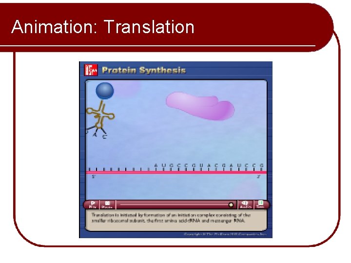 Animation: Translation Please note that due to differing operating systems, some animations will not