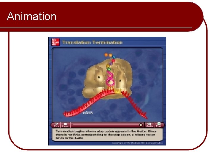 Animation Please note that due to differing operating systems, some animations will not appear