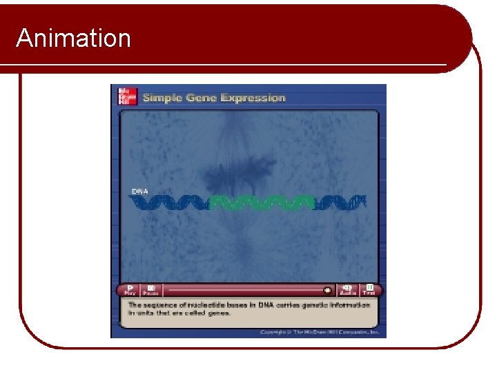 Animation Please note that due to differing operating systems, some animations will not appear