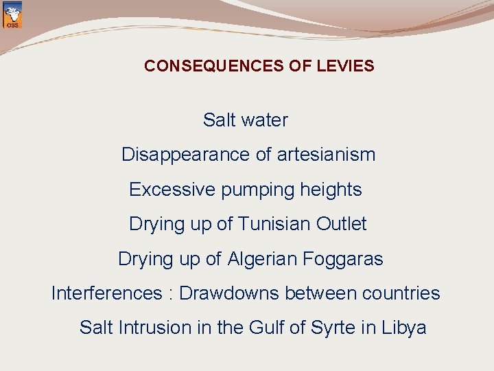 CONSEQUENCES OF LEVIES Salt water Disappearance of artesianism Excessive pumping heights Drying up of