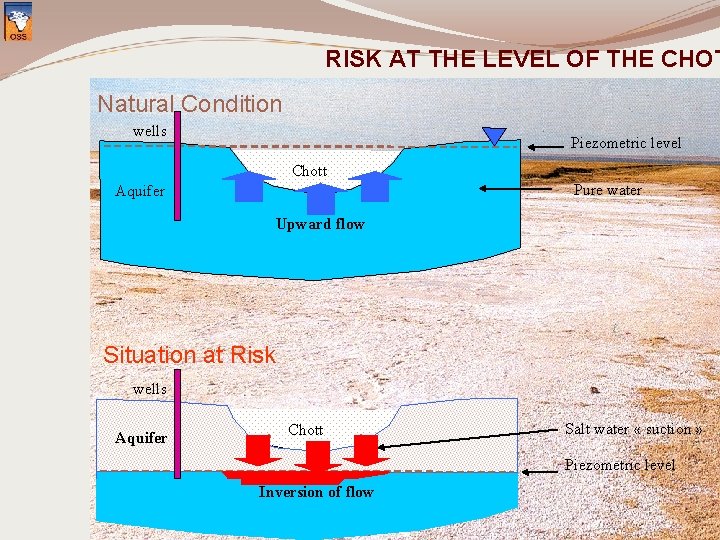 RISK AT THE LEVEL OF THE CHOT Natural Condition wells Piezometric level Chott Pure