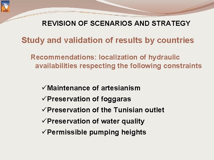REVISION OF SCENARIOS AND STRATEGY Study and validation of results by countries Recommendations: localization