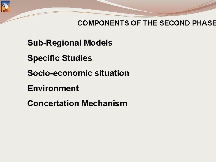 COMPONENTS OF THE SECOND PHASE Sub-Regional Models Specific Studies Socio-economic situation Environment Concertation Mechanism