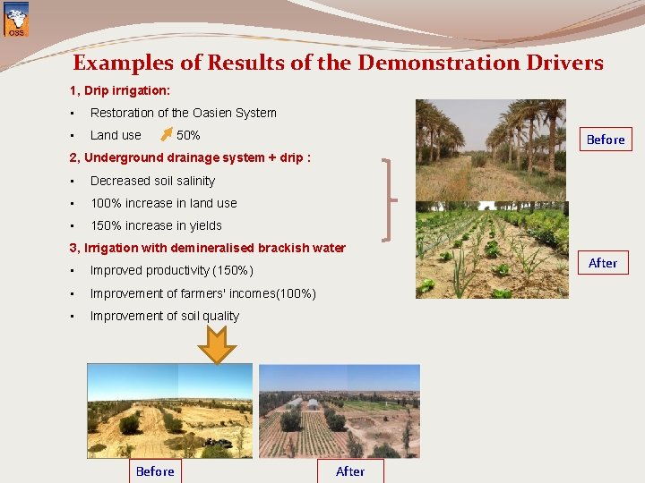 Examples of Results of the Demonstration Drivers 1, Drip irrigation: • Restoration of the