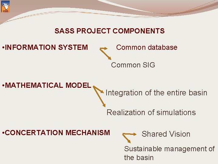 SASS PROJECT COMPONENTS • INFORMATION SYSTEM Common database Common SIG • MATHEMATICAL MODEL Integration