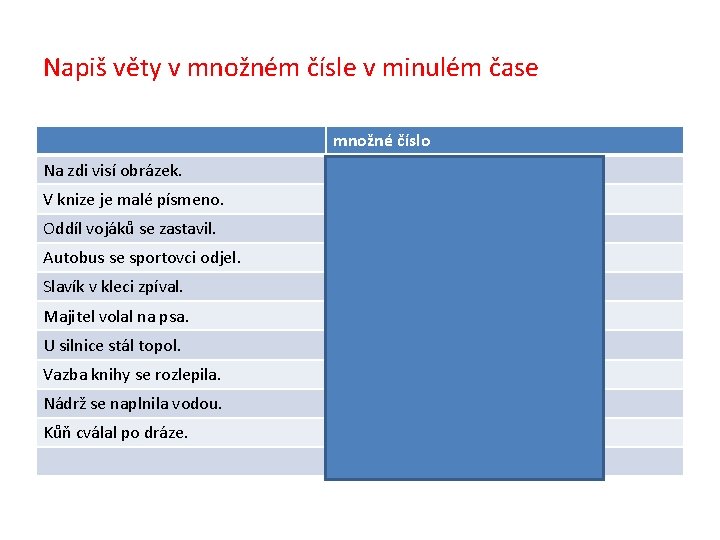 Napiš věty v množném čísle v minulém čase množné číslo Na zdi visí obrázek.