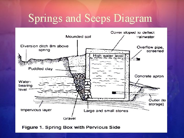 Springs and Seeps Diagram 