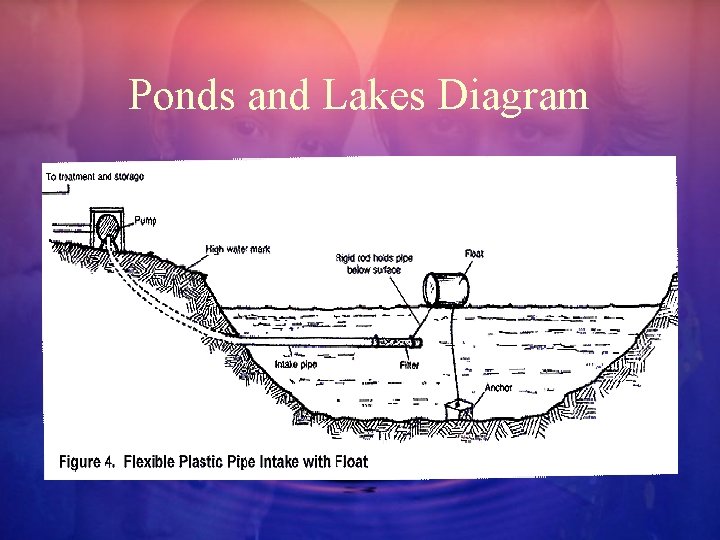 Ponds and Lakes Diagram 