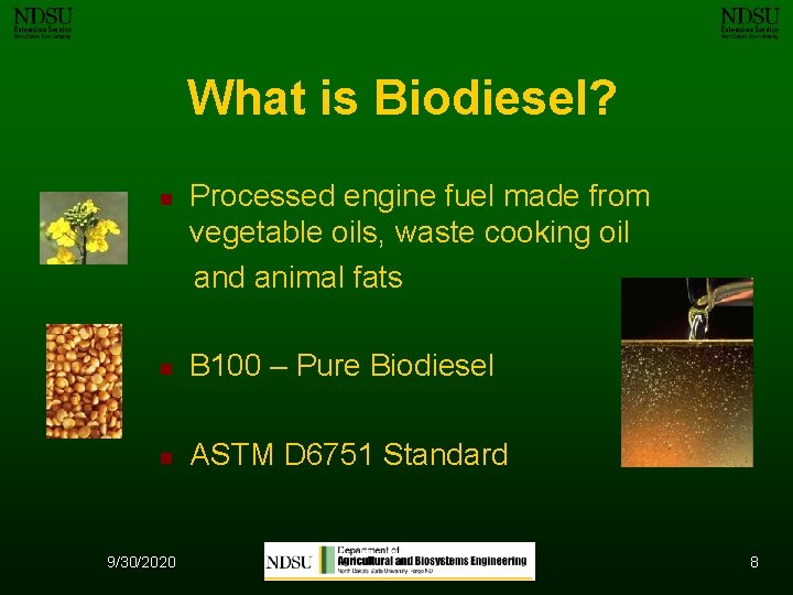 What is Biodiesel? n Processed engine fuel made from vegetable oils, waste cooking oil