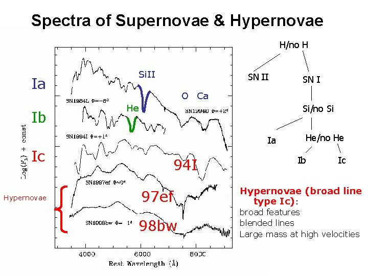 Spectra of Supernovae & Hypernovae H/no H Ia Ib Si. II SN II O