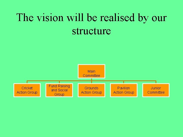 The vision will be realised by our structure Main Committee Cricket Action Group Fund