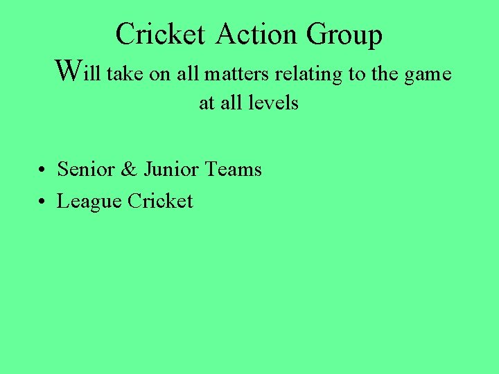 Cricket Action Group Will take on all matters relating to the game at all