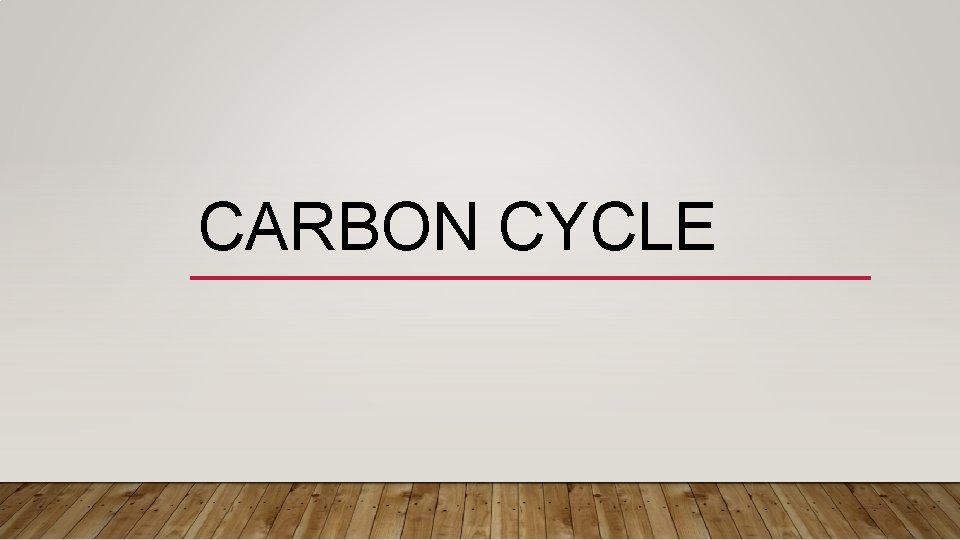 CARBON CYCLE 