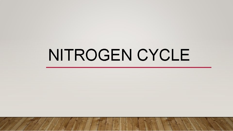 NITROGEN CYCLE 