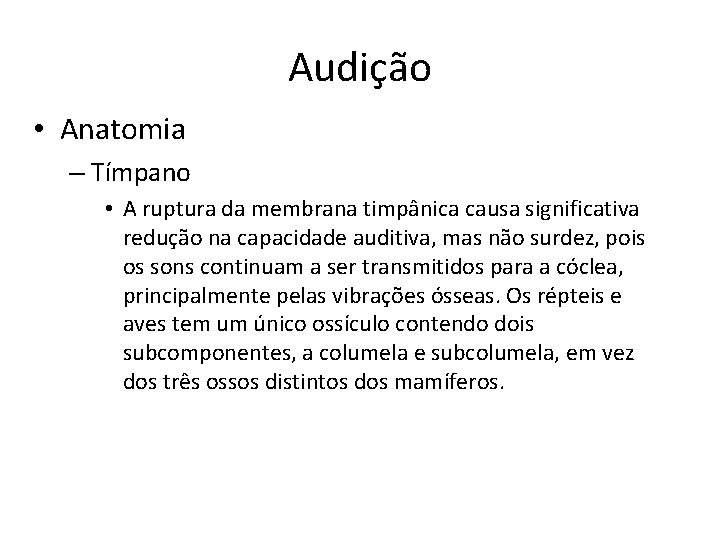 Audição • Anatomia – Tímpano • A ruptura da membrana timpânica causa significativa redução