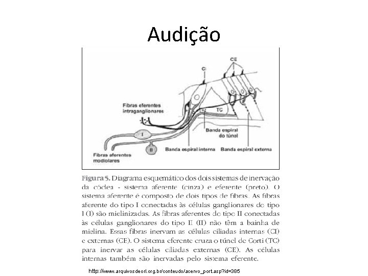 Audição http: //www. arquivosdeorl. org. br/conteudo/acervo_port. asp? id=385 