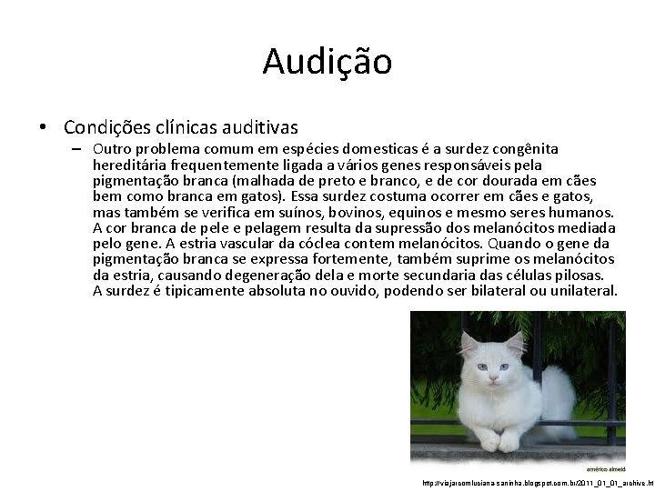Audição • Condições clínicas auditivas – Outro problema comum em espécies domesticas é a