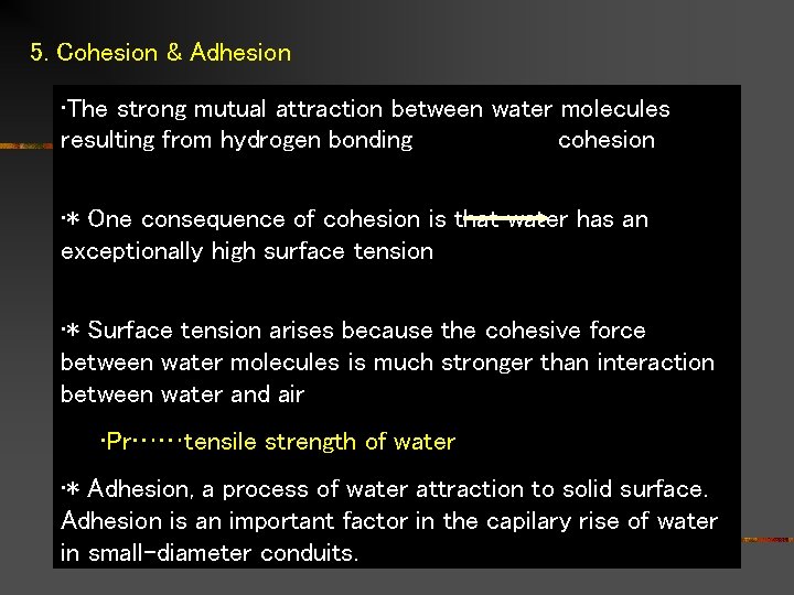 5. Cohesion & Adhesion • The strong mutual attraction between water molecules resulting from
