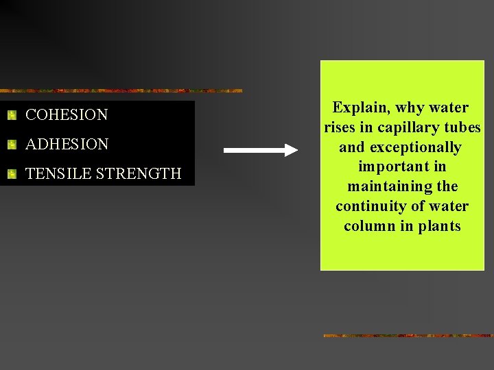 COHESION ADHESION TENSILE STRENGTH Explain, why water rises in capillary tubes and exceptionally important