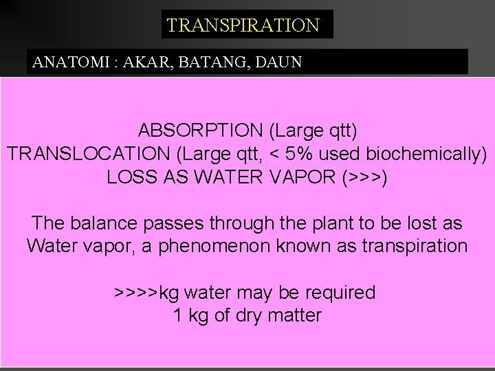 TRANSPIRATION ANATOMI : AKAR, BATANG, DAUN ABSORPTION (Large qtt) TRANSLOCATION (Large qtt, < 5%