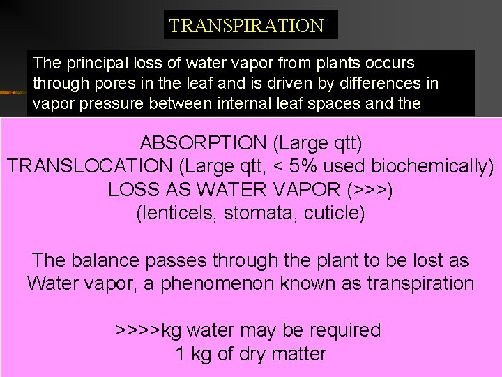 TRANSPIRATION The principal loss of water vapor from plants occurs through pores in the