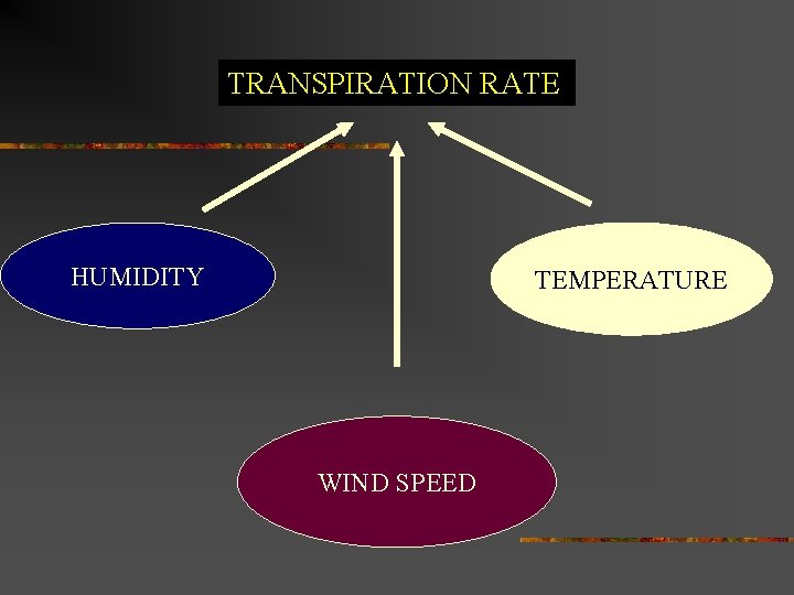 TRANSPIRATION RATE HUMIDITY TEMPERATURE WIND SPEED 