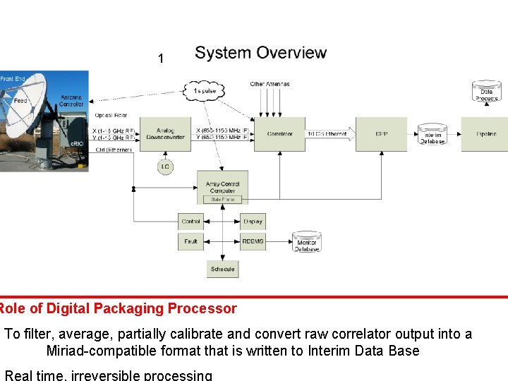 1 1 Role of Digital Packaging Processor • To filter, average, partially calibrate and