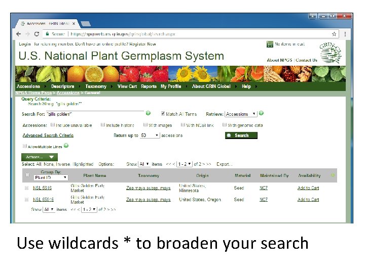 Use wildcards * to broaden your search 