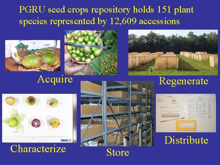 PGRU seed crops repository holds 151 plant species represented by 12, 609 accessions Acquire