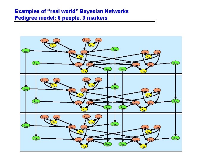 Examples of “real world” Bayesian Networks Pedigree model: 6 people, 3 markers L 11