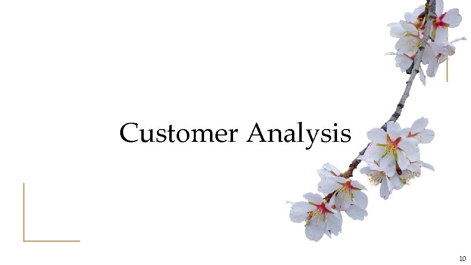 Customer Analysis 10 