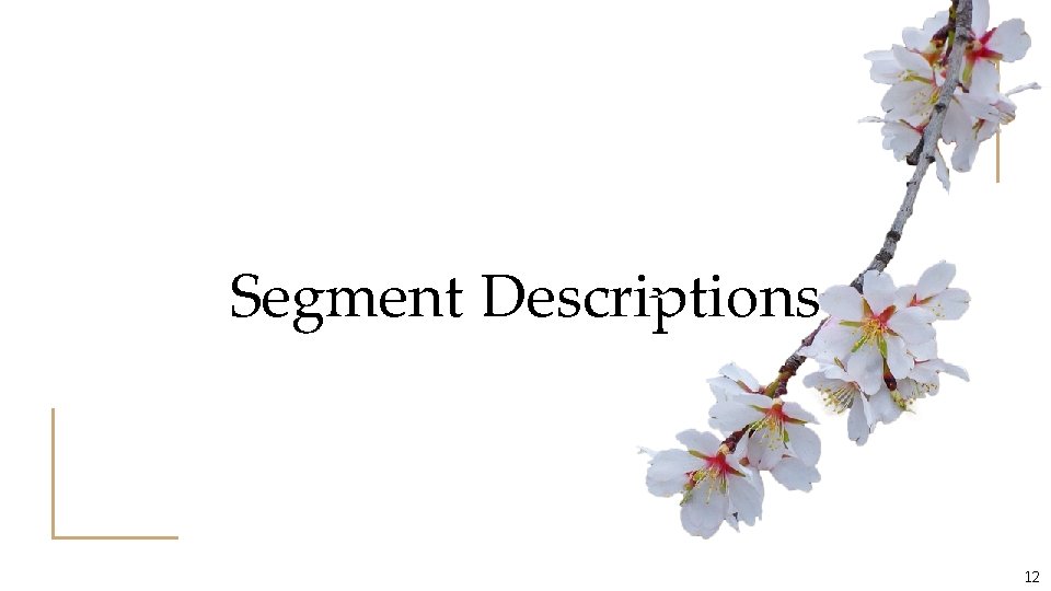 Segment Descriptions 12 