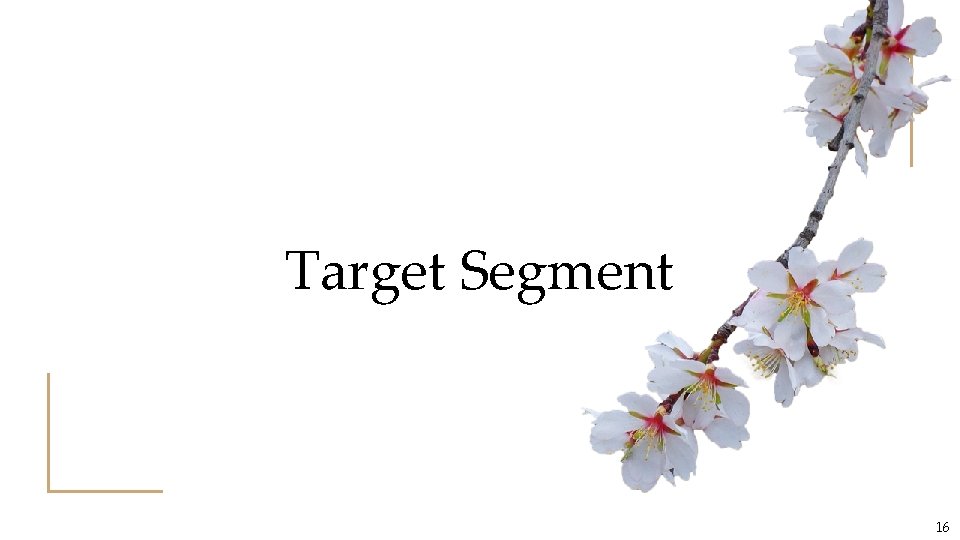 Target Segment 16 