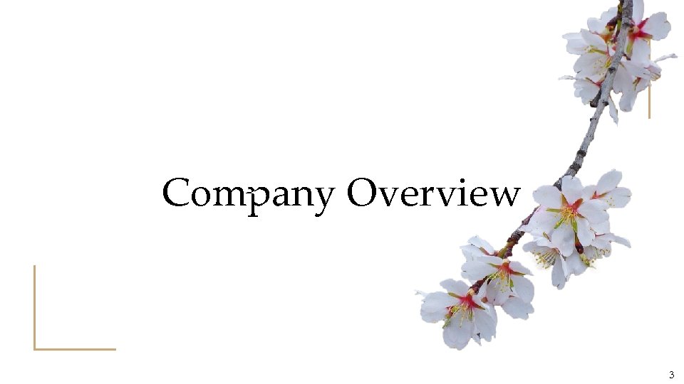 Company Overview 3 