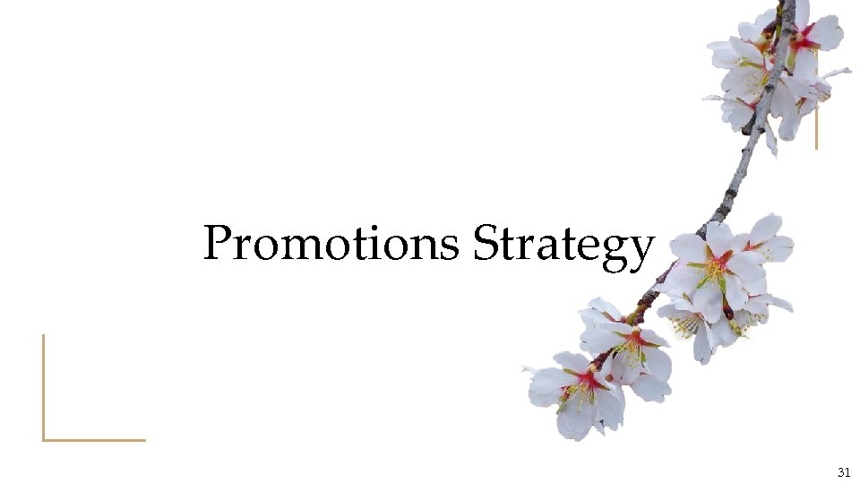 Promotions Strategy 31 