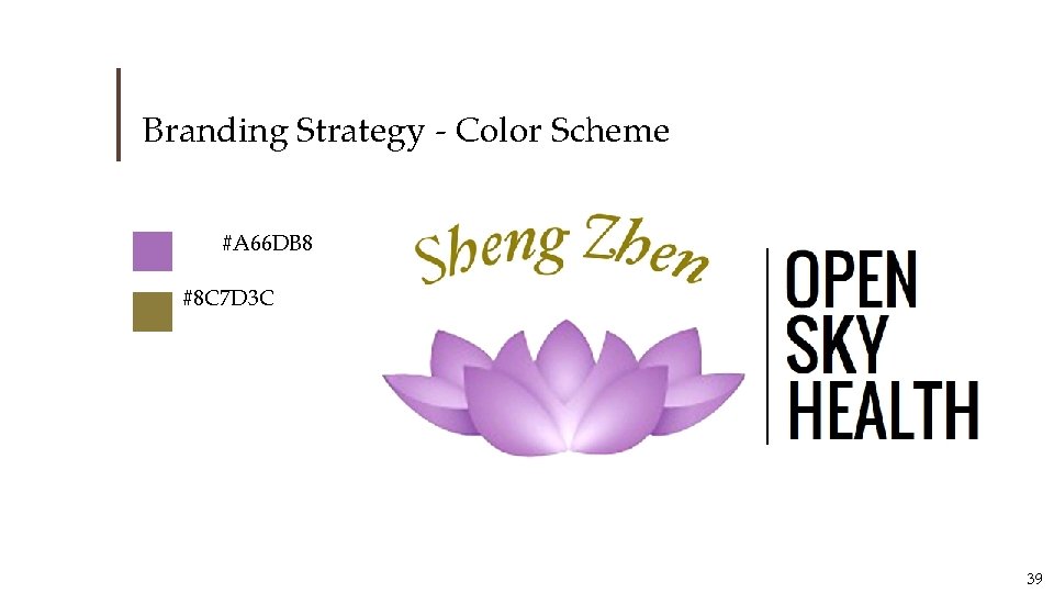 Branding Strategy - Color Scheme # #A 66 DB 8 #8 C 7 D