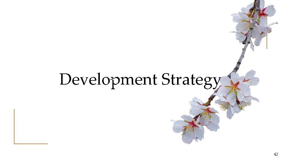 Development Strategy 42 