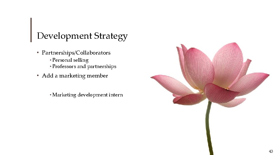 Development Strategy • Partnerships/Collaborators • Personal selling • Professors and partnerships • Add a