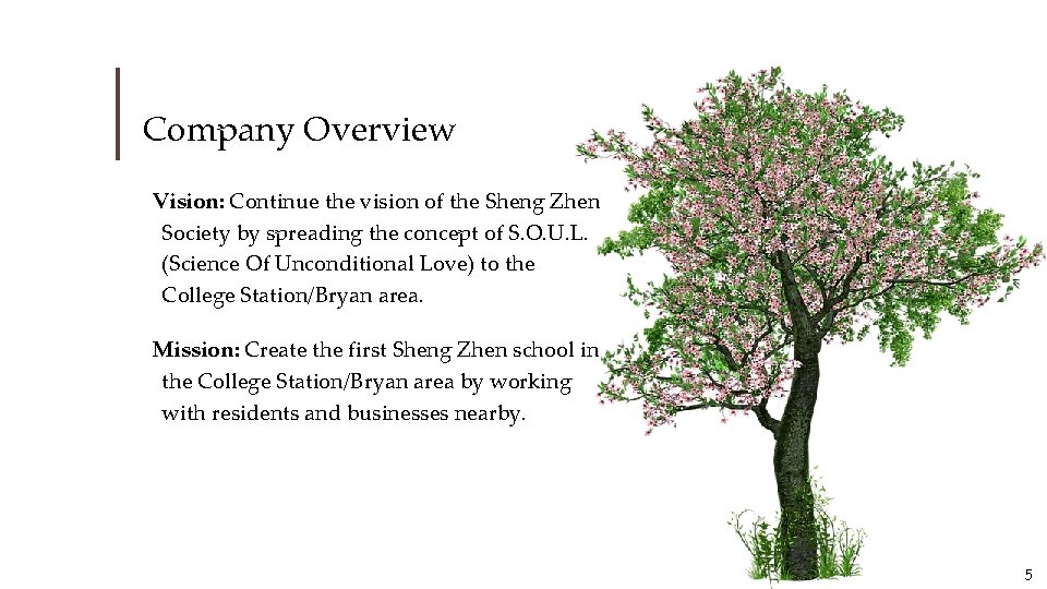 Company Overview Vision: Continue the vision of the Sheng Zhen Society by spreading the