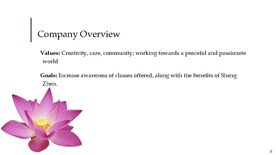 Company Overview Values: Creativity, care, community; working towards a peaceful and passionate world Goals: