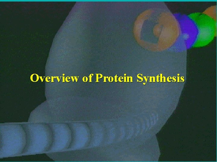 19 Overview of Protein Synthesis 9/30/2020 