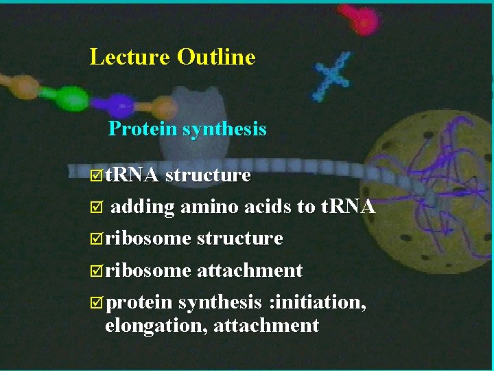 3 Lecture Outline Protein synthesis þt. RNA structure adding amino acids to t. RNA