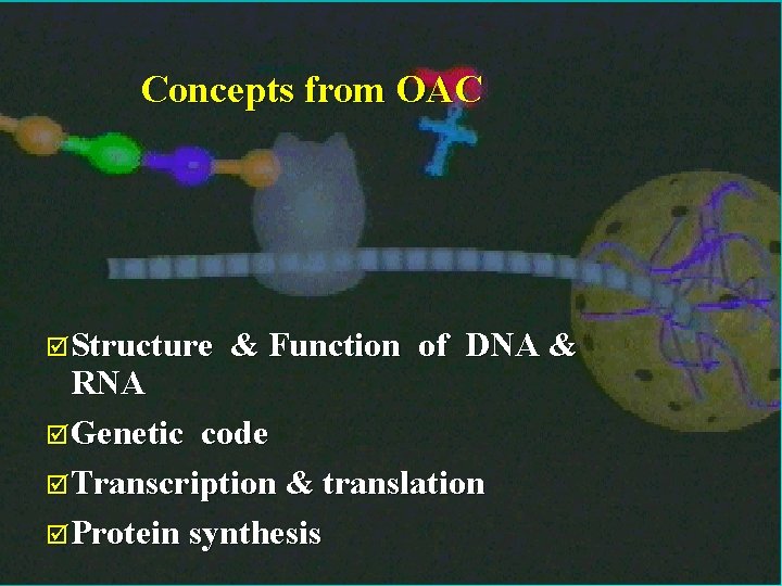 4 Concepts from OAC þStructure & Function of DNA & RNA þGenetic code þTranscription