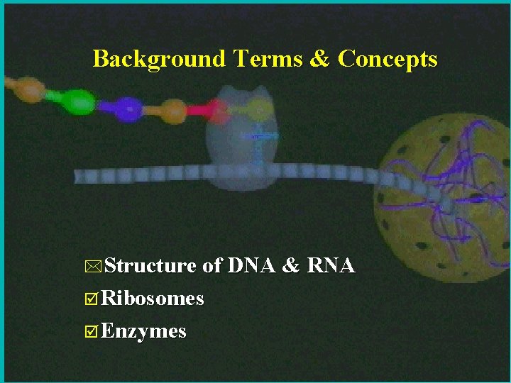 5 Background Terms & Concepts *Structure of DNA & RNA þRibosomes þEnzymes 9/30/2020 