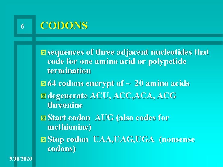 6 CODONS þ sequences of three adjacent nucleotides that code for one amino acid