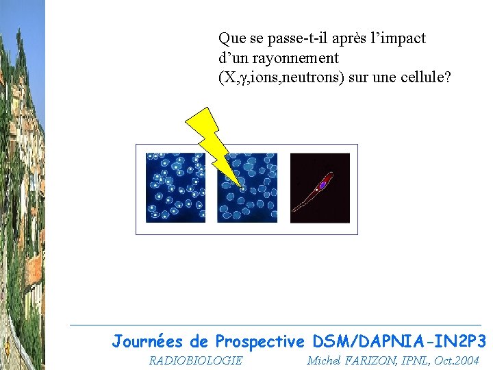 Que se passe-t-il après l’impact d’un rayonnement (X, g, ions, neutrons) sur une cellule?