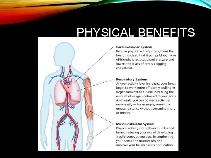 PHYSICAL BENEFITS 