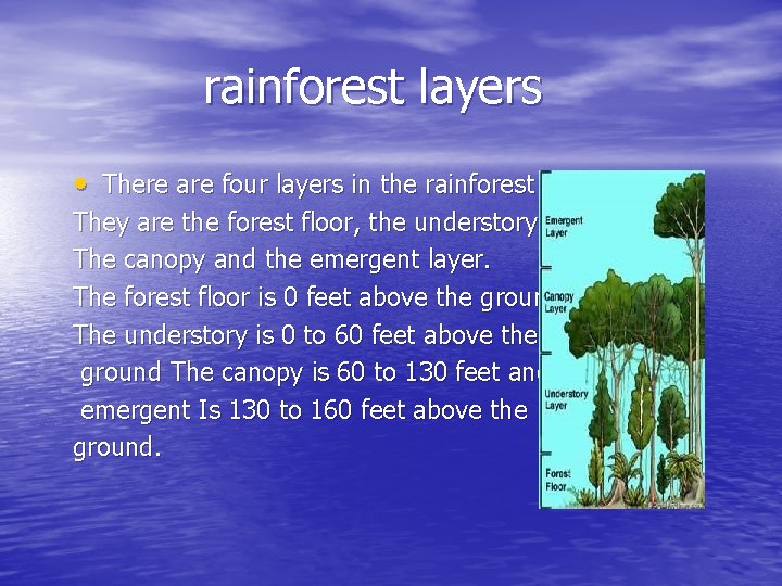 rainforest layers • There are four layers in the rainforest They are the forest