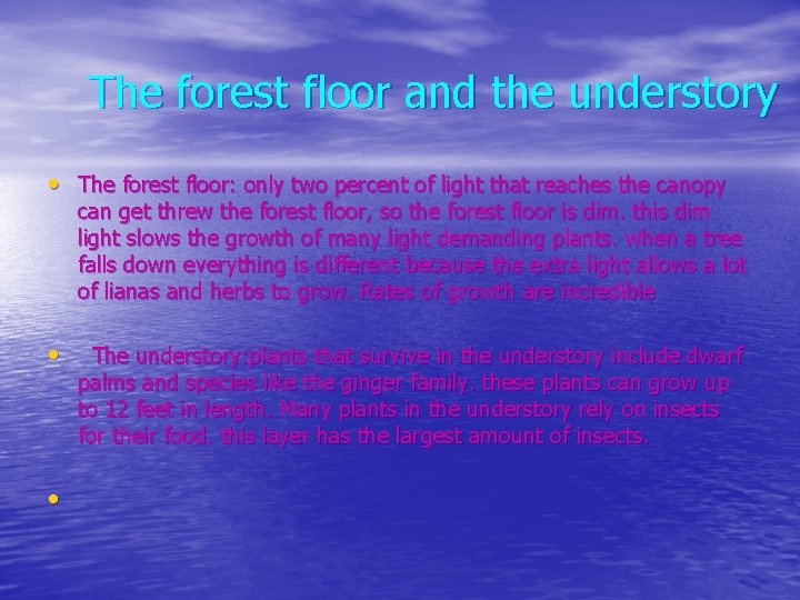 The forest floor and the understory • The forest floor: only two percent of