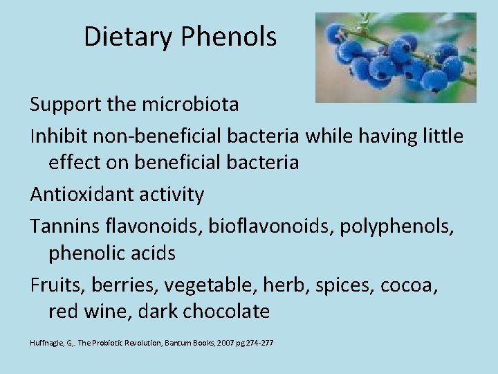 Dietary Phenols Support the microbiota Inhibit non-beneficial bacteria while having little effect on beneficial